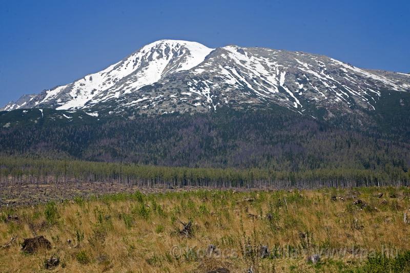 Tatra 0080.jpg